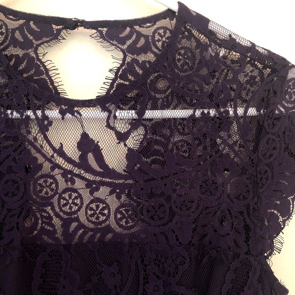 BB Dakota “Rhianna” Illusion Yoke Lace Dress - Picture 6 of 9
